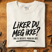 Liker du meg ikke? Dra til helvete T-skjorte