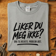 Liker du meg ikke? Dra til helvete T-skjorte